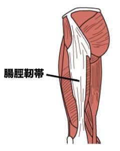 「腸脛靭帯」の画像検索結果