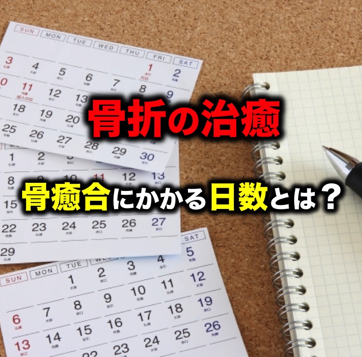 骨折の治癒 骨癒合にかかる日数とは