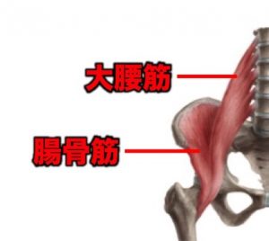 腸腰筋膿瘍 とは リハビリテーションの効果や必要性は